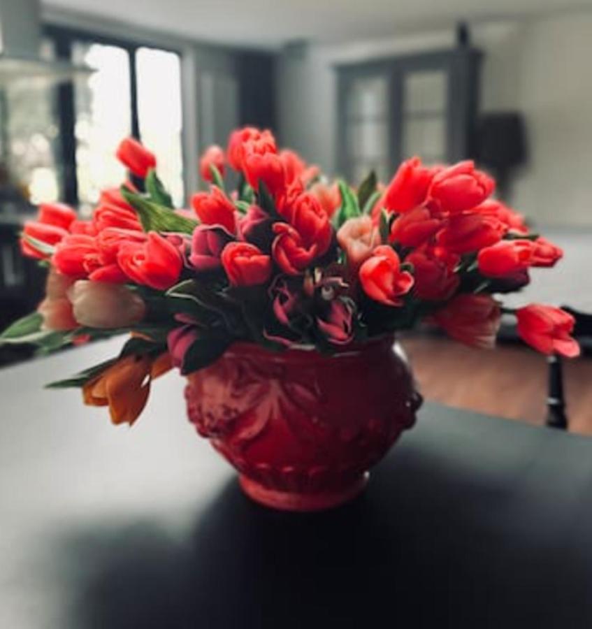 Bed And Breakfast Cherry Заандам Екстериор снимка